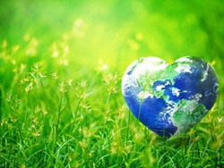 محیط زیست و قلب