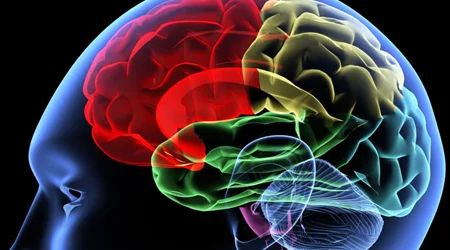 استرس و اضطراب