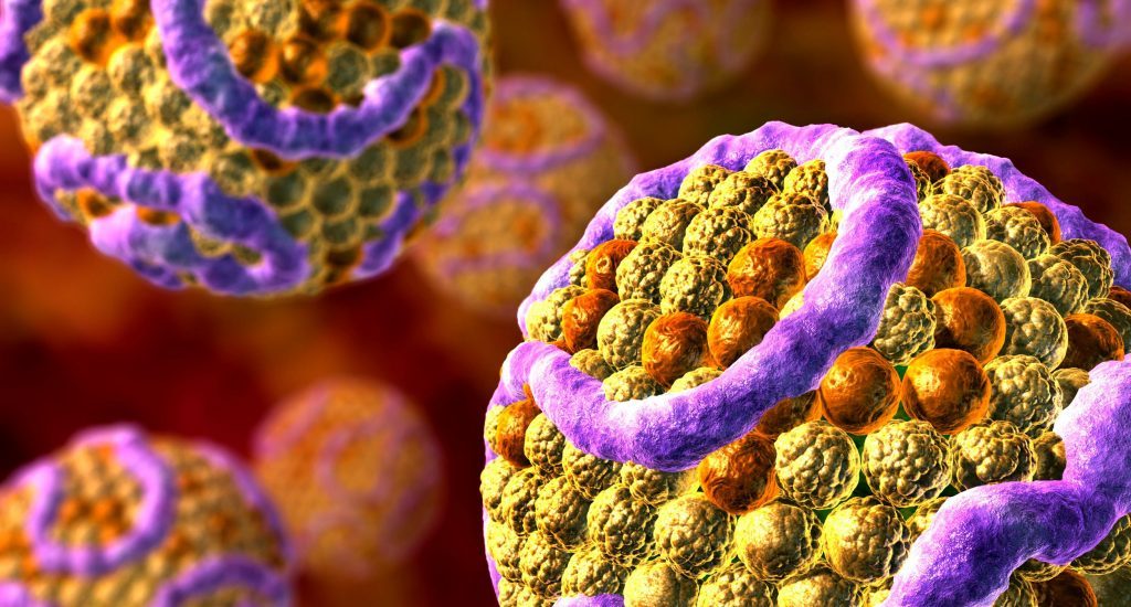 آنچه باید در مورد چربی های خون بدانید