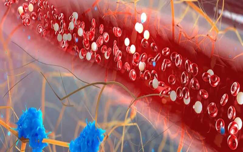 تری گلیسیرید نرمال خون